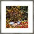 Of Many Colors Framed Print