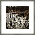Of Trees And Mirrors - Prince Edward County Forest Framed Print