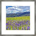 Ogden Valley Spring Framed Print