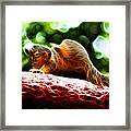 Oh Buggers I Itch - Fractal - Robbie The Squirrel Framed Print