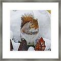 Oh No   Early Snow Framed Print