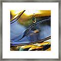 Oil And Water 10 Framed Print