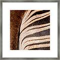 Okapi Stripes Framed Print