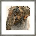 Old Lady Of Nepal 2 Framed Print