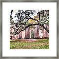 Old Sheldon Church - Bending Oak Framed Print