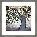 Old Willow Framed Print