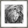 Ole Toothy Wings Framed Print
