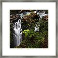 Olympic National Park Framed Print