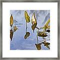 On The Canal Framed Print