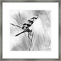On The Launch Pad Framed Print