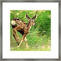 On The Move Framed Print