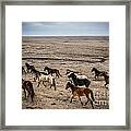 On The Run Framed Print