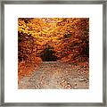 On The Way To Muskoka, Ontario, Canada Framed Print