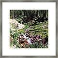 On Top Of The Continental Divide In The Rocky Mountains Framed Print