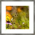 Once Upon A Time There Lived A Flower Framed Print