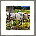 One Horse Wagon Framed Print