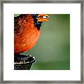 One More Seed Framed Print