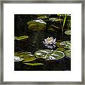 One Quiet Afternoon Framed Print