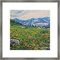 Open Field Framed Print