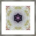 Opening To Love Mandala Framed Print