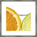 Orange And Lime Slices In Water Framed Print
