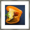 Orange Bell Pepper Blue Texture Framed Print