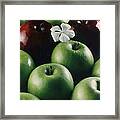 Orange Blossom Framed Print