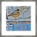 Orange Blue And Sleet Framed Print