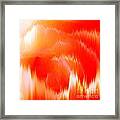 Orange Delight Framed Print