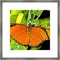 Orange Julia Framed Print