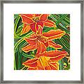 Orange Lilies Framed Print