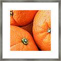 Orange Trio Framed Print