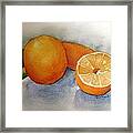 Oranges From The Tree Framed Print