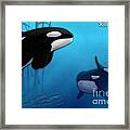 Orca Killer Whales Framed Print