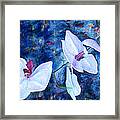 Orchid Blue Framed Print