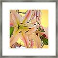 Orchid Framed Print