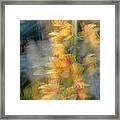 Orchid Impressionism-1 Framed Print