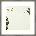 Organic Cosmetic With Lavender Flowers And Oil On White Background With Copy Space, Top View And Flat Lay Framed Print