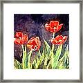 Oriental Poppies Framed Print