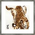 Oriental Tiger Framed Print
