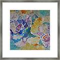 Ornamentals In Sunlight Framed Print