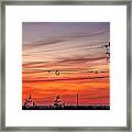 Ospery Penthouse Framed Print