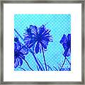 Otherworldly Cosmos Flowers In Aqua And Purple Framed Print
