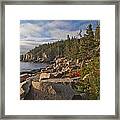 Otter Cliff Morning Framed Print