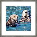 Otter Cuteness Framed Print