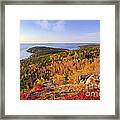 Otter Point From Gorham Mountain In Autumn Acadia National Park Framed Print