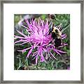 Our Daily Walk Framed Print