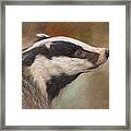 Our Friend The Badger Framed Print