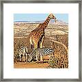 Out Of Africa Framed Print