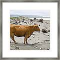 Out Of Bounds Framed Print